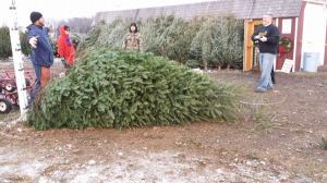 10805701_10152517714676099_5873528503912892010_n