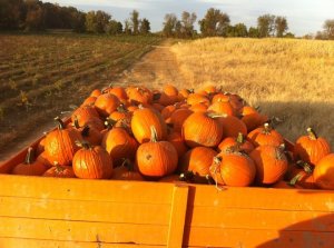 71972_658553865672_1153770_n