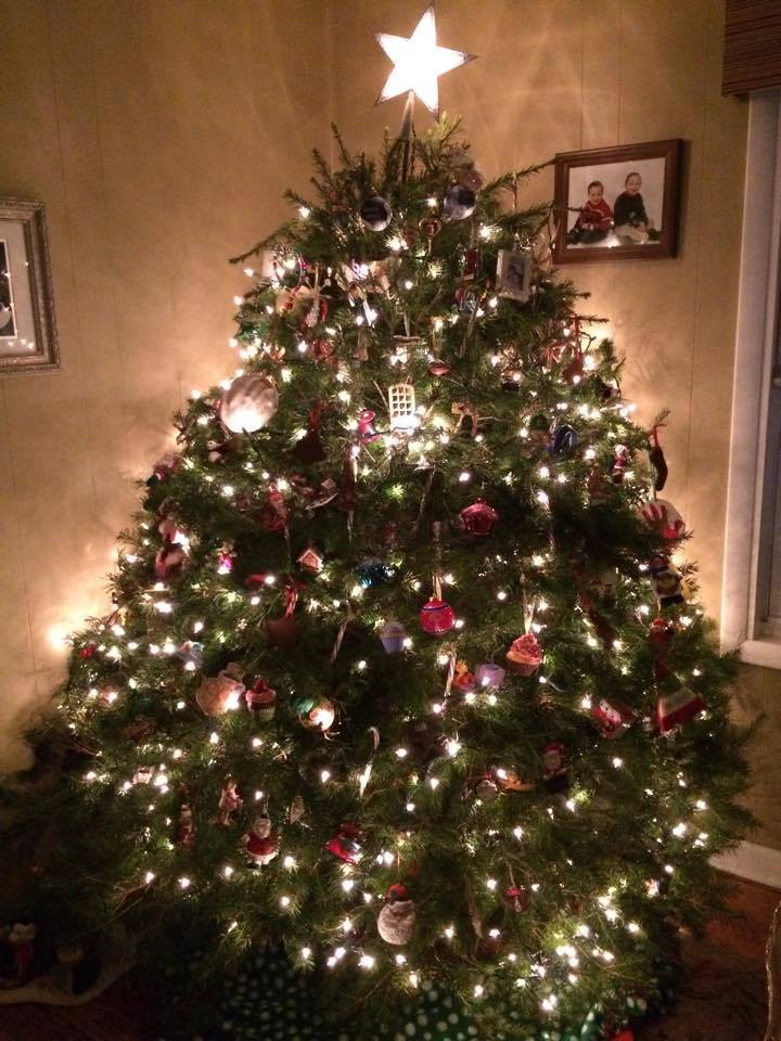 12227174_10153229743216099_32687313969579071_n