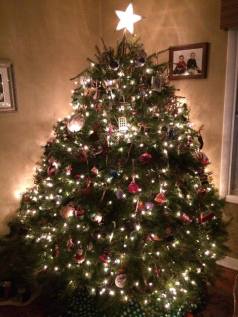 12227174_10153229743216099_32687313969579071_n